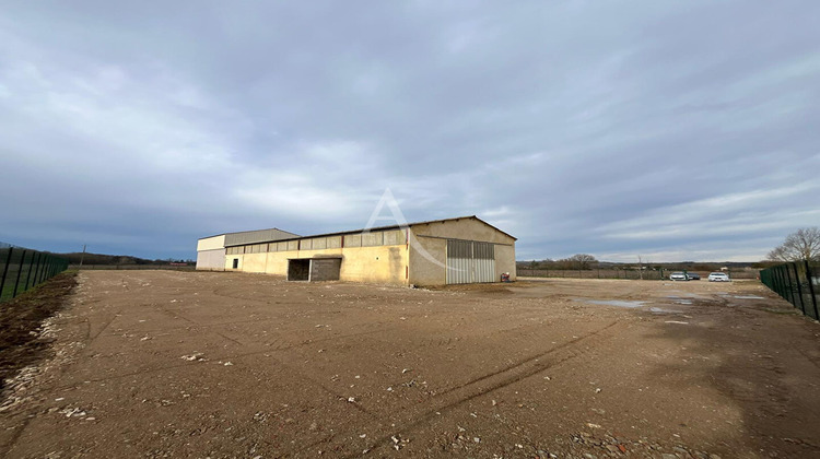 Ma-Cabane - Location Local commercial BESSIERES, 400 m²