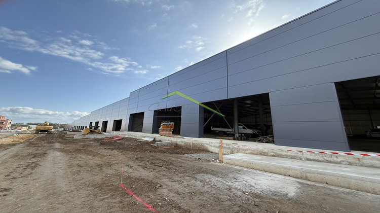 Ma-Cabane - Location Local commercial Biguglia, 275 m²