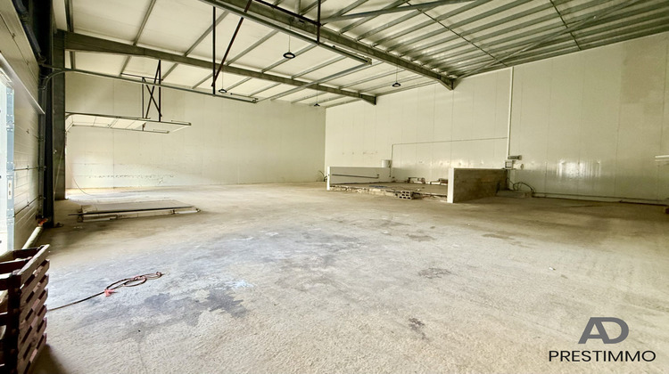 Ma-Cabane - Location Local commercial Biguglia, 256 m²