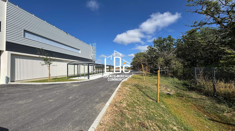 Ma-Cabane - Location Local commercial Bouguenais, 257 m²