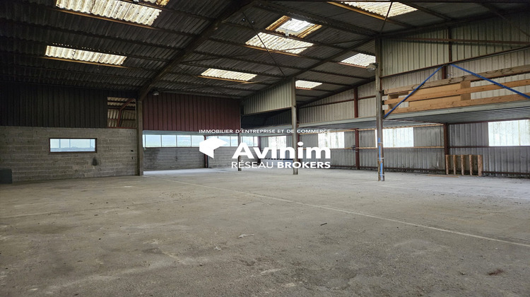 Ma-Cabane - Location Local commercial Bourg-en-Bresse, 531 m²