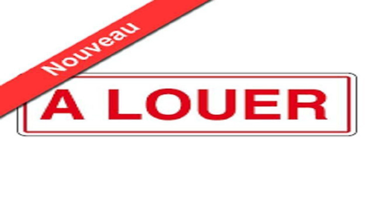 Ma-Cabane - Location Local commercial Bourges, 235 m²