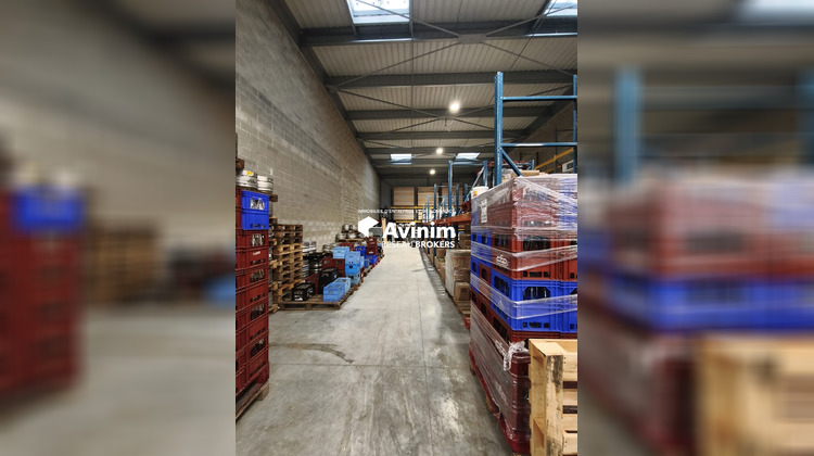Ma-Cabane - Location Local commercial Brétigny-sur-Orge, 450 m²