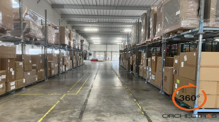 Ma-Cabane - Location Local commercial Brie-Comte-Robert, 3541 m²