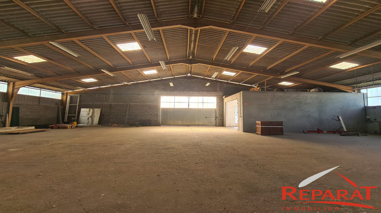 Ma-Cabane - Location Local commercial Brive-la-Gaillarde, 650 m²