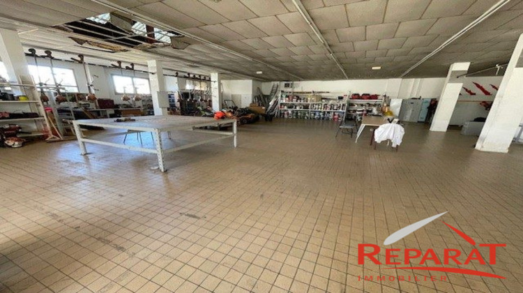Ma-Cabane - Location Local commercial Brive-la-Gaillarde, 390 m²