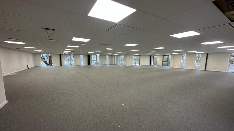 Ma-Cabane - Location Local commercial BRUGES, 300 m²