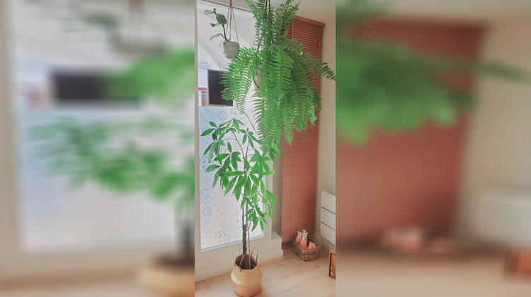 Ma-Cabane - Location Local commercial Cadillac, 43 m²