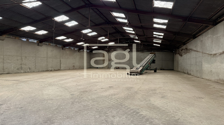 Ma-Cabane - Location Local commercial Cappelle-Brouck, 1920 m²