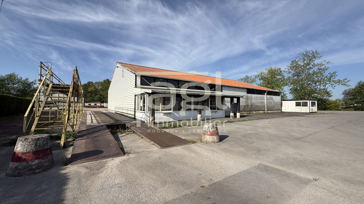Ma-Cabane - Location Local commercial Cappelle-Brouck, 1920 m²