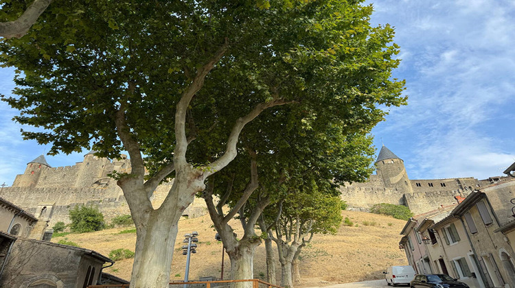 Ma-Cabane - Location Local commercial CARCASSONNE, 37 m²