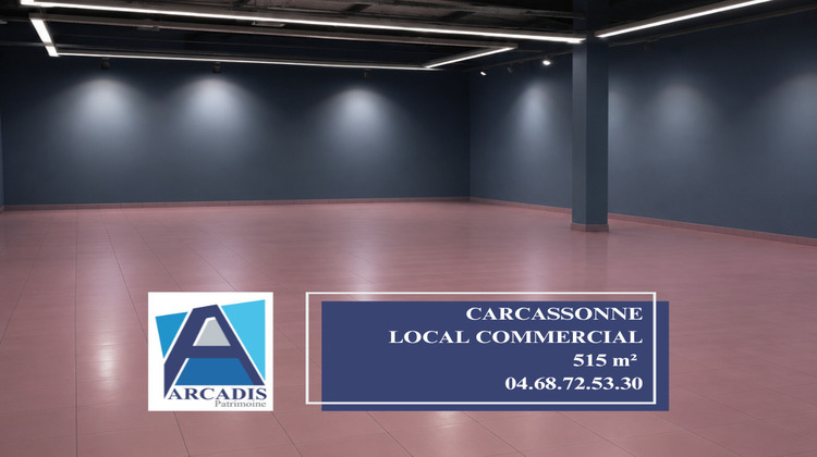 Ma-Cabane - Location Local commercial CARCASSONNE, 515 m²