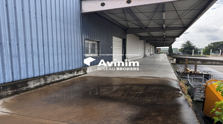 Ma-Cabane - Location Local commercial Carpentras, 1550 m²