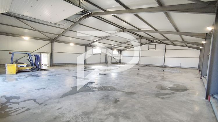 Ma-Cabane - Location Local commercial CAVAILLON, 300 m²