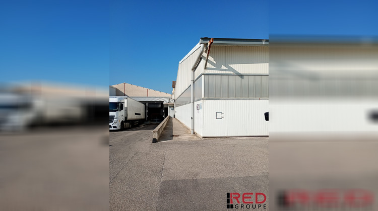 Ma-Cabane - Location Local commercial Cavaillon, 1176 m²