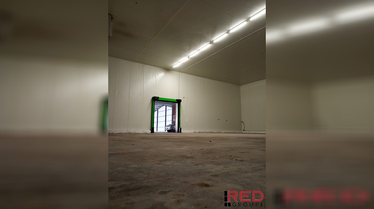 Ma-Cabane - Location Local commercial Cavaillon, 1176 m²