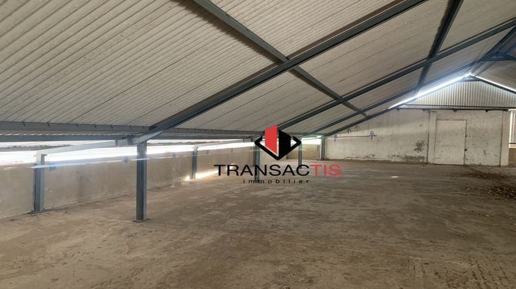 Ma-Cabane - Location Local commercial Cayenne, 300 m²