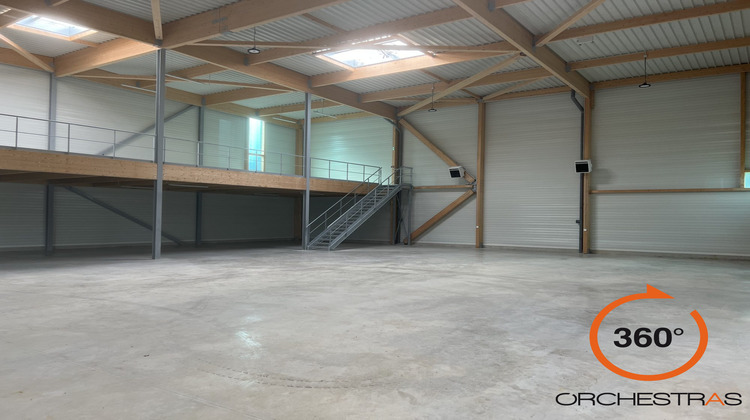 Ma-Cabane - Location Local commercial Chanteloup-en-Brie, 786 m²