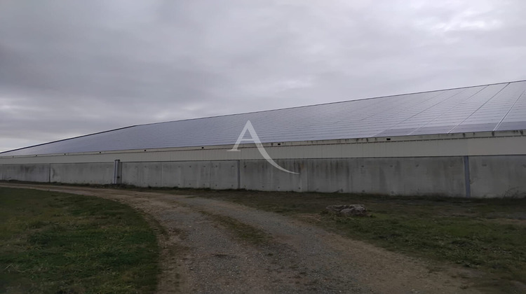 Ma-Cabane - Location Local commercial CHAVAGNES, 1440 m²