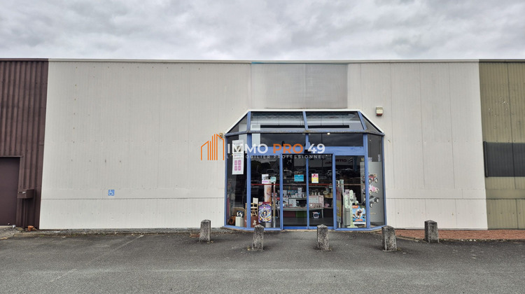 Ma-Cabane - Location Local commercial Cholet, 561 m²
