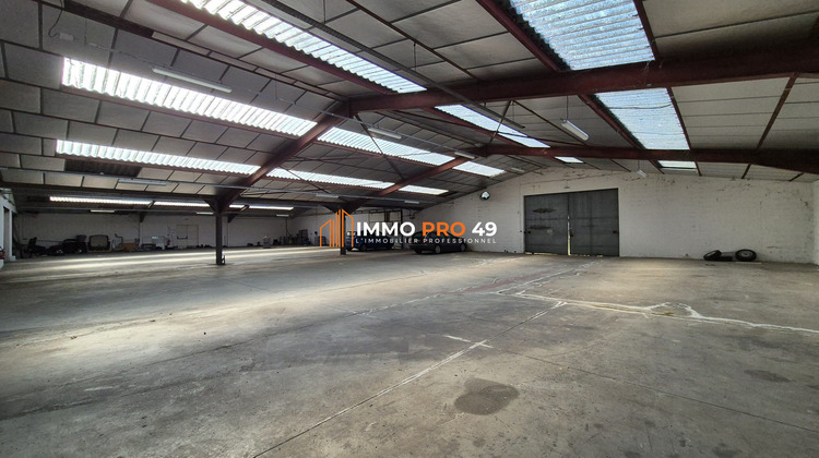 Ma-Cabane - Location Local commercial Cholet, 1593 m²