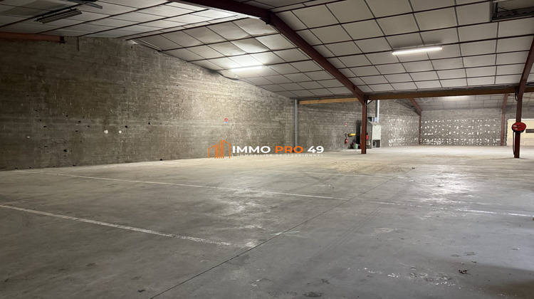 Ma-Cabane - Location Local commercial Cholet, 500 m²