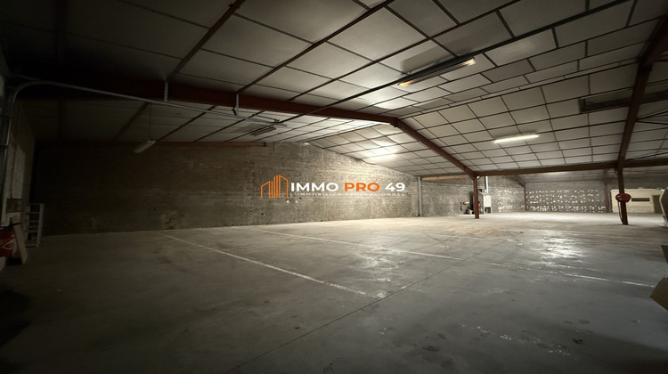 Ma-Cabane - Location Local commercial Cholet, 500 m²