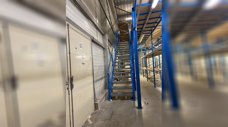 Ma-Cabane - Location Local commercial Claira, 800 m²