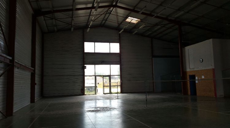 Ma-Cabane - Location Local commercial COLOMIERS, 1000 m²