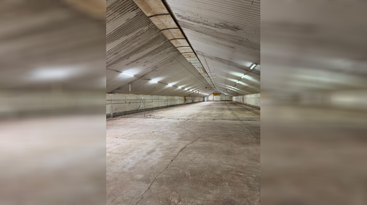 Ma-Cabane - Location Local commercial COMBRONDE, 1200 m²