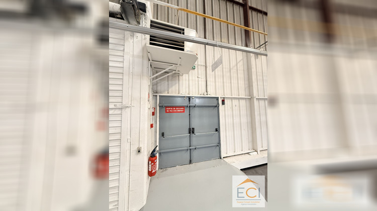 Ma-Cabane - Location Local commercial COUZEIX, 1056 m²