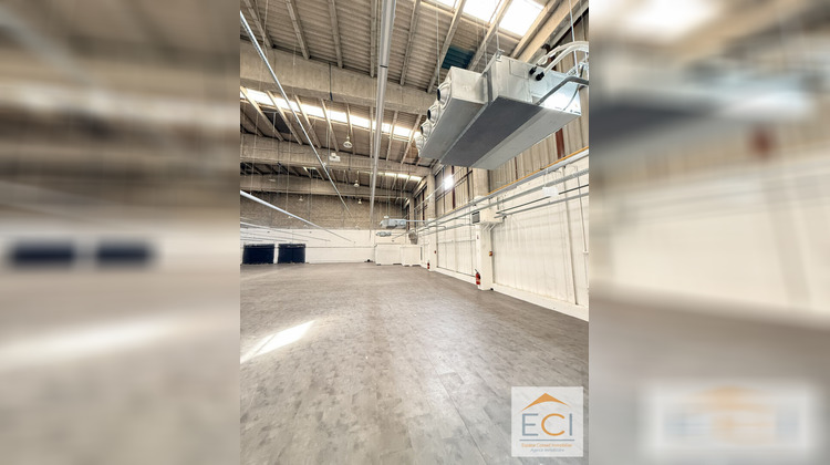 Ma-Cabane - Location Local commercial COUZEIX, 1056 m²