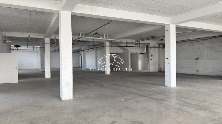 Ma-Cabane - Location Local commercial Décines-Charpieu, 2300 m²