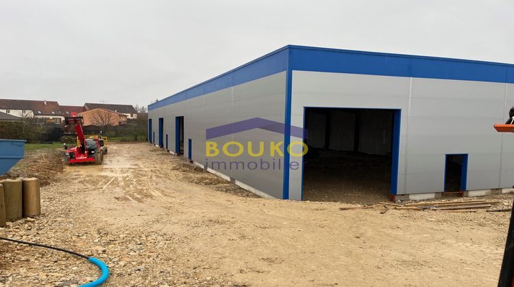 Ma-Cabane - Location Local commercial Dieulouard, 240 m²