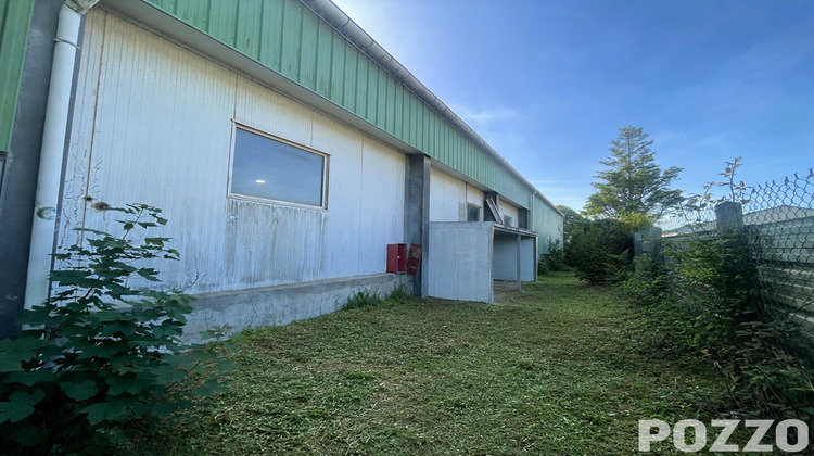 Ma-Cabane - Location Local commercial DONVILLE-LES-BAINS, 103 m²