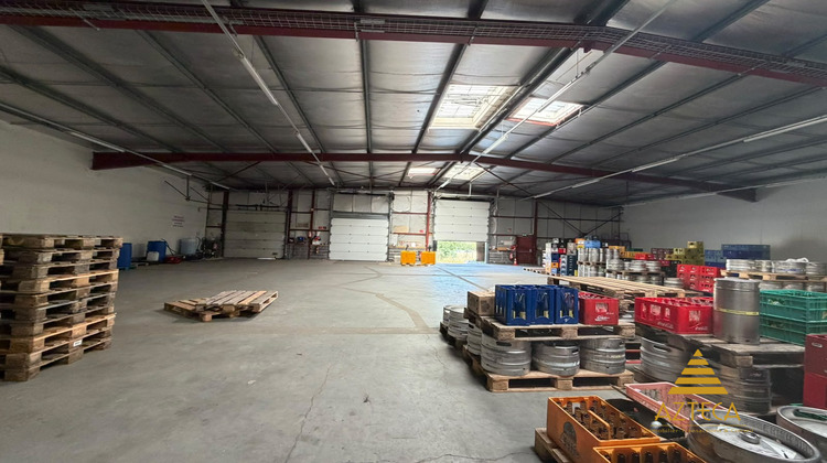 Ma-Cabane - Location Local commercial Escaudoeuvres, 710 m²