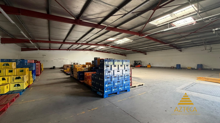 Ma-Cabane - Location Local commercial Escaudoeuvres, 710 m²