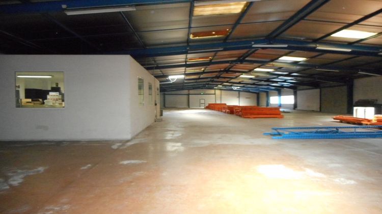 Ma-Cabane - Location Local commercial FENOUILLET, 2000 m²