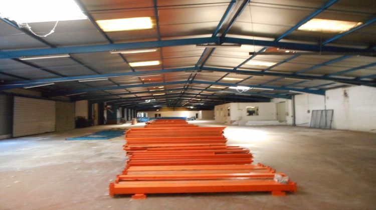 Ma-Cabane - Location Local commercial FENOUILLET, 2000 m²