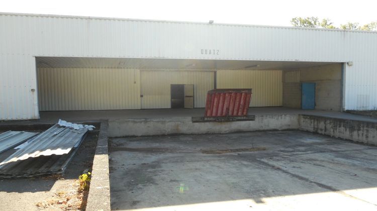 Ma-Cabane - Location Local commercial FENOUILLET, 2000 m²