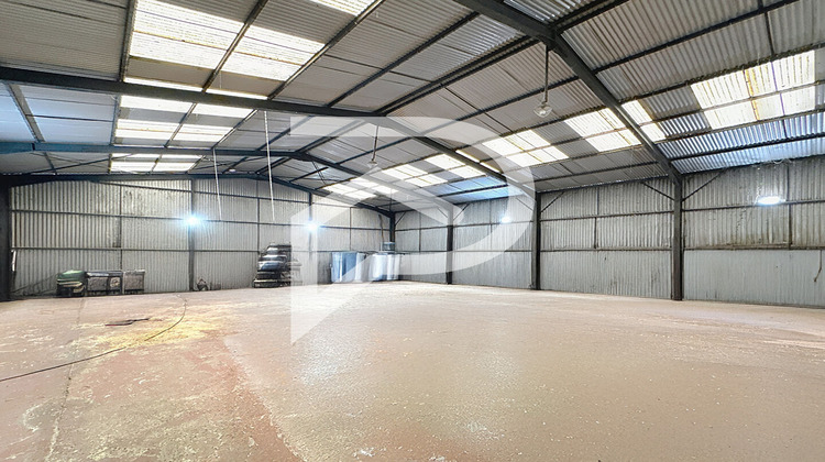 Ma-Cabane - Location Local commercial FRESNES-SUR-ESCAUT, 420 m²