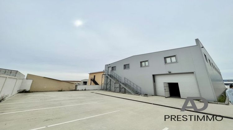 Ma-Cabane - Location Local commercial Furiani, 450 m²