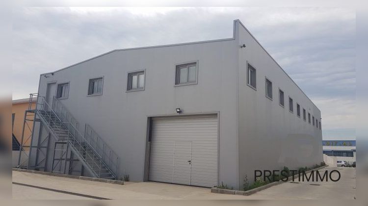 Ma-Cabane - Location Local commercial Furiani, 450 m²