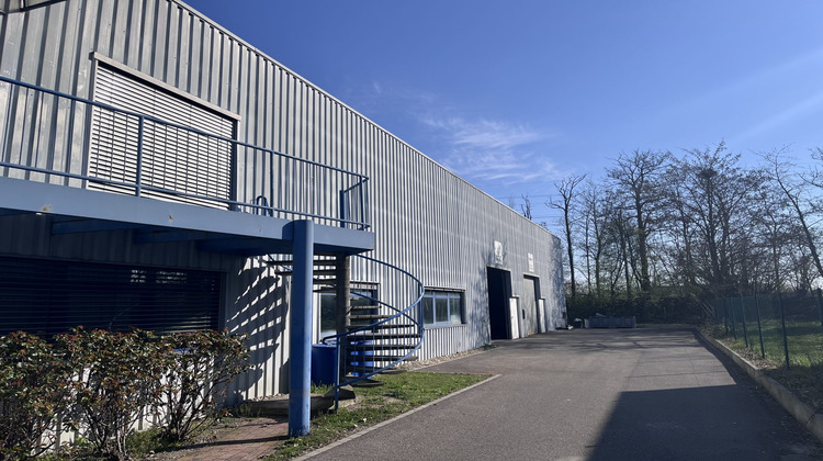 Ma-Cabane - Location Local commercial Geispolsheim, 446 m²
