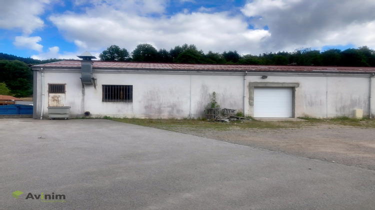 Ma-Cabane - Location Local commercial Gérardmer, 360 m²