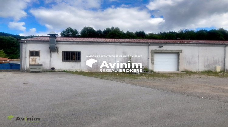 Ma-Cabane - Location Local commercial Gérardmer, 360 m²