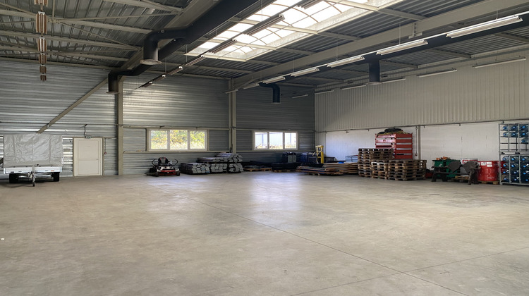 Ma-Cabane - Location Local commercial Hatten, 400 m²