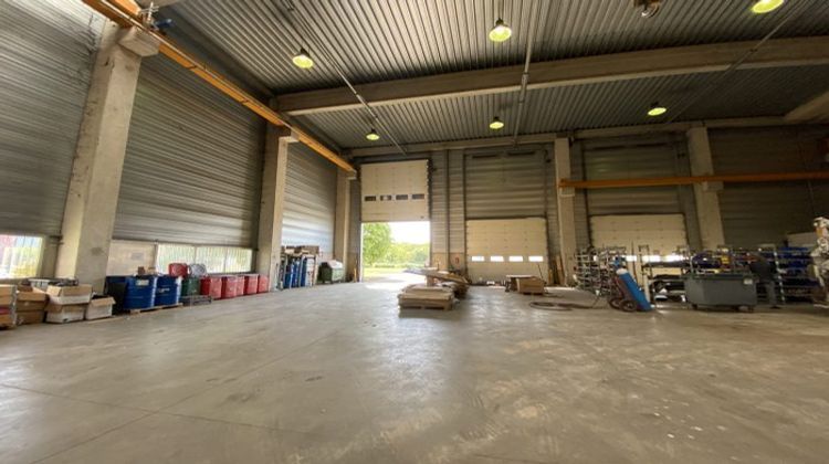 Ma-Cabane - Location Local commercial Herblay, 1257 m²