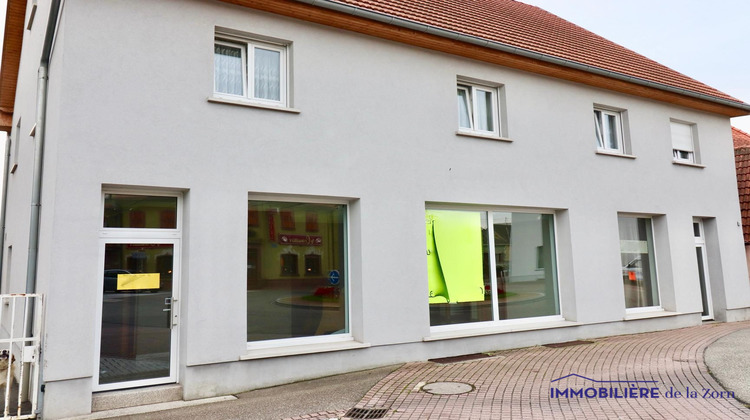 Ma-Cabane - Location Local commercial Kaltenhouse, 100 m²