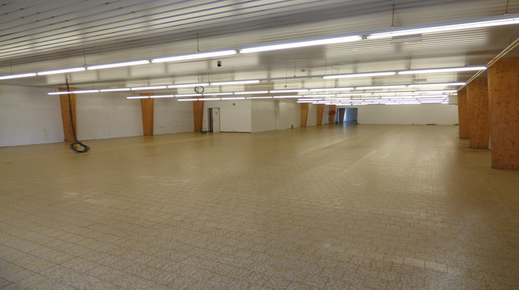 Ma-Cabane - Location Local commercial La primaube, 365 m²